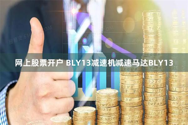 网上股票开户 BLY13减速机减速马达BLY13