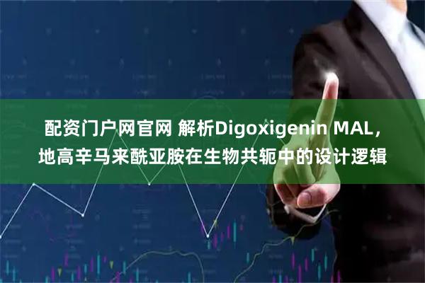 配资门户网官网 解析Digoxigenin MAL，地高辛马来酰亚胺在生物共轭中的设计逻辑