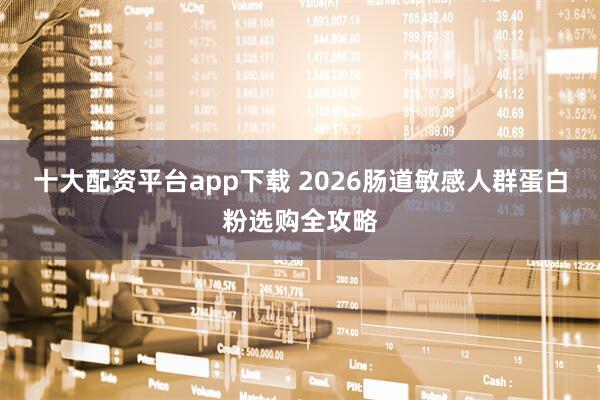 十大配资平台app下载 2026肠道敏感人群蛋白粉选购全攻略
