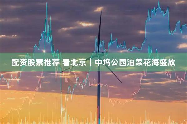 配资股票推荐 看北京｜中坞公园油菜花海盛放