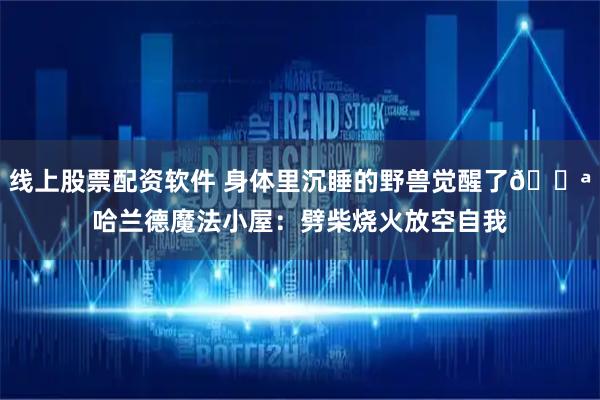 线上股票配资软件 身体里沉睡的野兽觉醒了💪哈兰德魔法小屋：劈柴烧火放空自我
